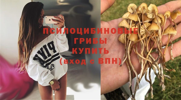 кокаин Алексеевка